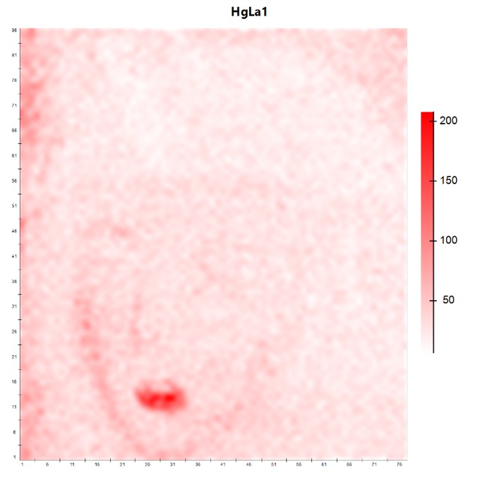 Mapa de distribución del Mercurio