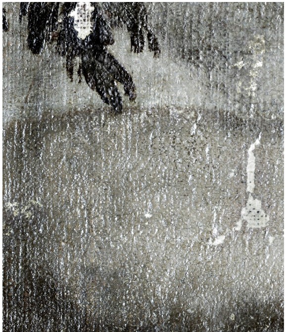 Zona visible correspondiente al área mapeada del rostro oculto